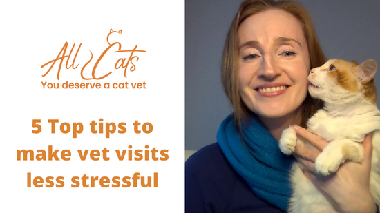 Top tips to make vet visits less stressful